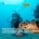 Dive Connection Winter Bonanza