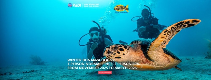 Dive Connection Winter Bonanza